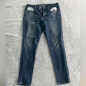 American Eagle Outfitters Jeggings / Blue / Size 12